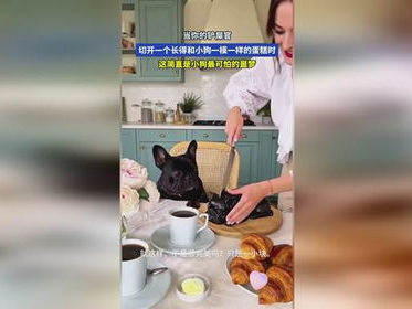 萌宠再现：小狗造型蛋糕惊艳亮相