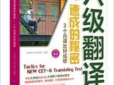 挑战六级翻译：跨越语言难关的艰难征程