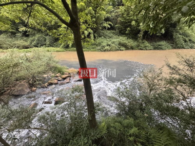 重庆南川通报长江支流孝子河污染