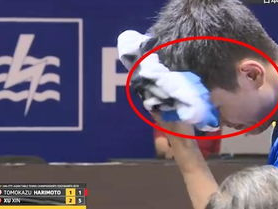 张本智和：追逐世界第一的荣耀之路